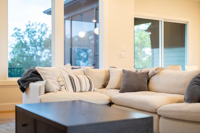 5413 Briar Rose Ct, Columbia, MO 65203 - living room with wood finished floors