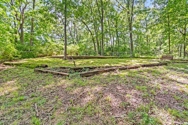 2808 Pine Dr, Columbia, MO 65202 - view of yard