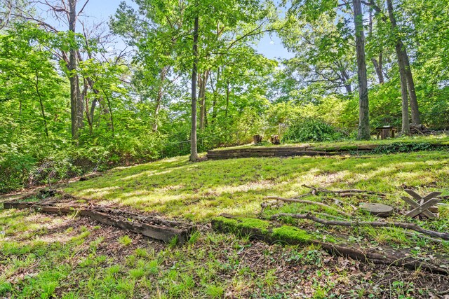 2808 Pine Dr, Columbia, MO 65202 - view of yard