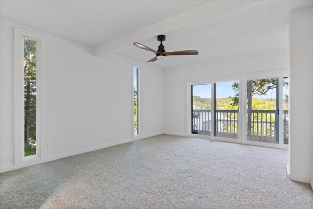 27294 Marina Ln, Barnett, MO 65011 - photo 18