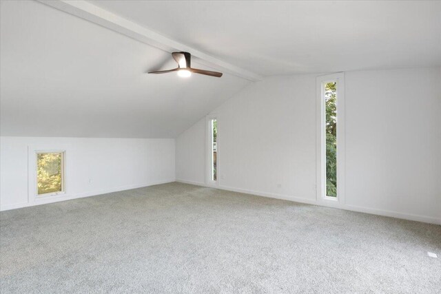27294 Marina Ln, Barnett, MO 65011 - photo 26