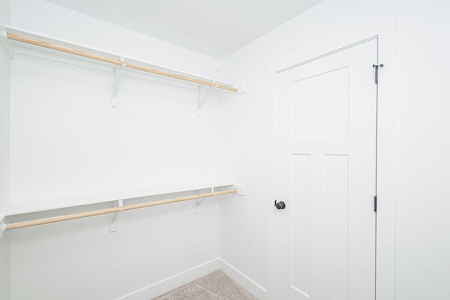 3321 Gray Birch Dr, Columbia, MO 65202 - spacious closet with carpet flooring
