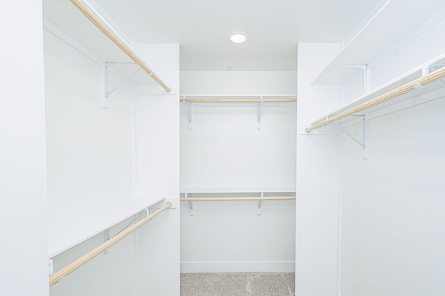 3321 Gray Birch Dr, Columbia, MO 65202 - walk in closet with carpet