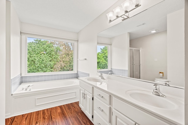3348 S Old Ridge Rd, Columbia, MO 65203 - full bathroom featuring a shower stall, wood finished floors, a garden tub, and double vanity