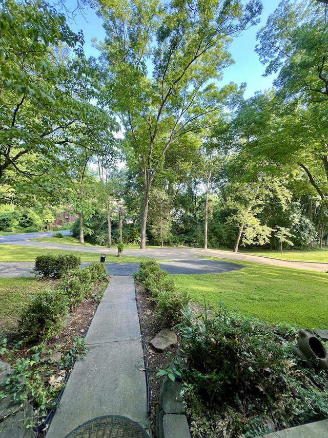 1600 Jefferson Dr, Boonville, MO 65233 - photo 3