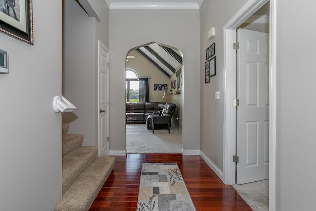 3202 S Rodeo Dr, Columbia, MO 65203 - photo 6