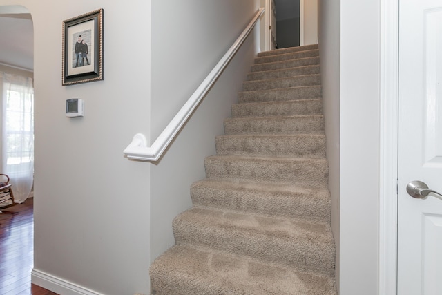 3202 S Rodeo Dr, Columbia, MO 65203 - photo 29