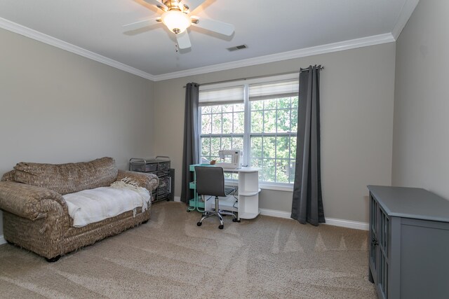 3202 S Rodeo Dr, Columbia, MO 65203 - photo 32