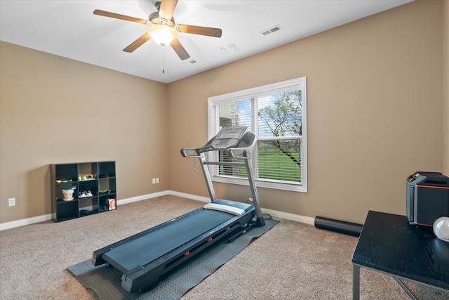 6406 Crooked Switch Ct, Columbia, MO 65201 - exercise area with carpet and ceiling fan