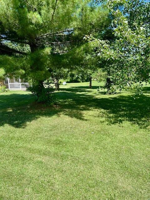 9855 N Route E, Harrisburg, MO 65256 - view of yard