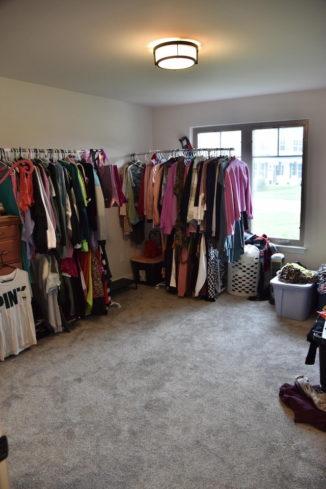 16540 Talladega Dr, Ashland, MO 65010 - photo 45