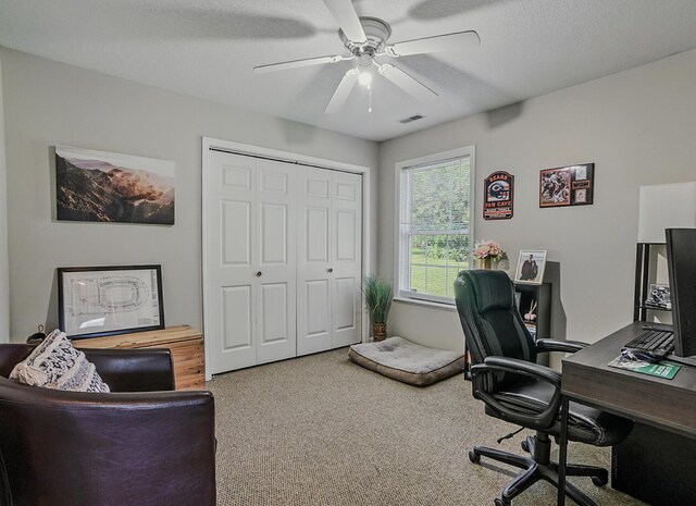 2911 Lake Town Dr, Columbia, MO 65203 - photo 15