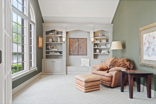 4902 Cochero Ct, Columbia, MO 65203 - sitting room with lofted ceiling, plenty of natural light, and carpet floors