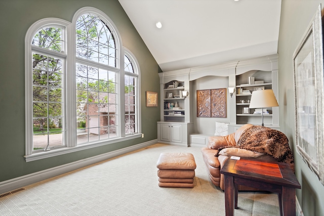 4902 Cochero Ct, Columbia, MO 65203 - living area with high vaulted ceiling, recessed lighting, and built in features