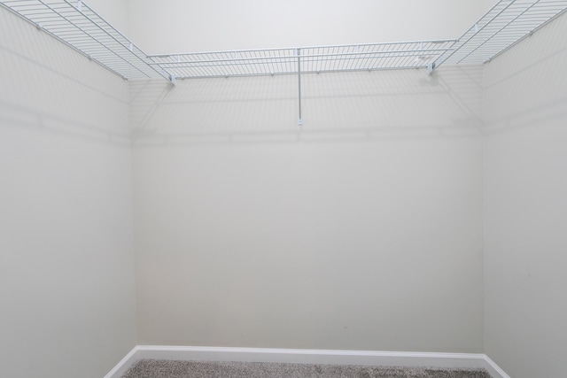 5 Redbud Cir, Jonesburg, MO 63351 - photo 14