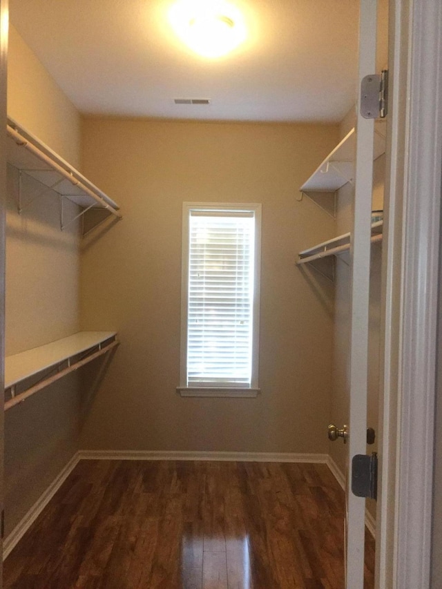 201 Port Way, Columbia, MO 65201 - walk in closet with dark wood-style flooring