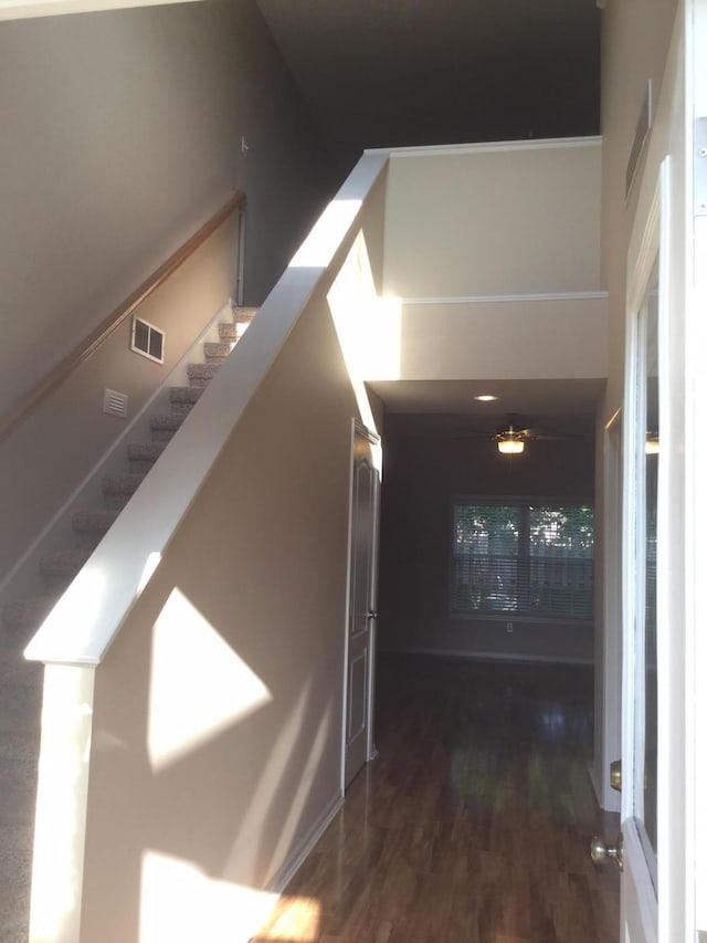 201 Port Way, Columbia, MO 65201 - hallway featuring stairs
