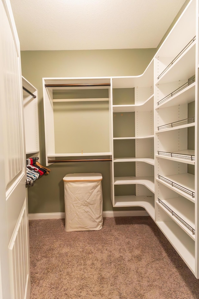 315 W Proctor St, Sturgeon, MO 65284 - spacious closet with carpet flooring