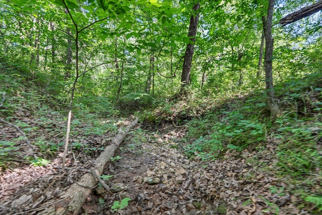 17153 Buck Run Ct, Boonville, MO 65233 - photo 56