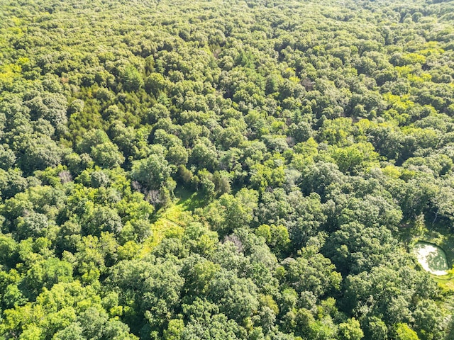 County Road 232, Fulton, MO 65251 - photo 33