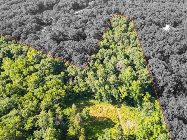 County Road 232, Fulton, MO 65251 - photo 5