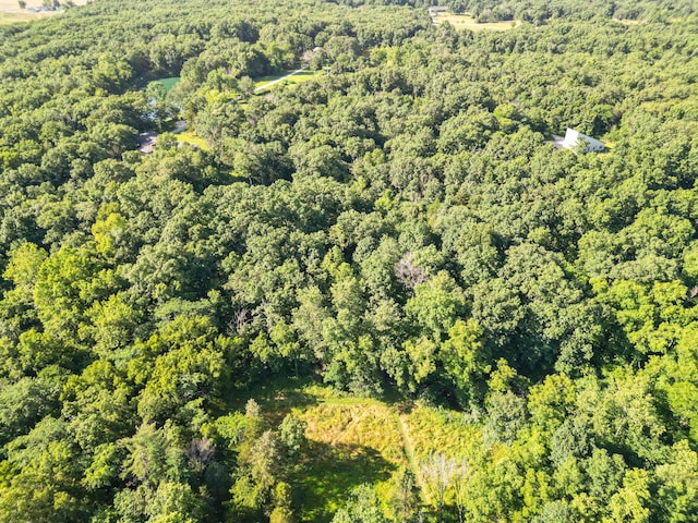 County Road 232, Fulton, MO 65251 - photo 7