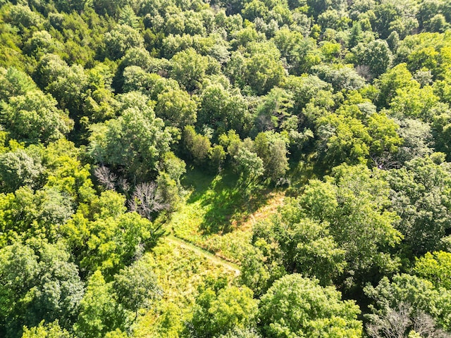 County Road 232, Fulton, MO 65251 - photo 34