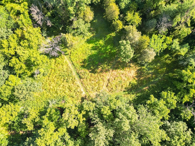 County Road 232, Fulton, MO 65251 - photo 11