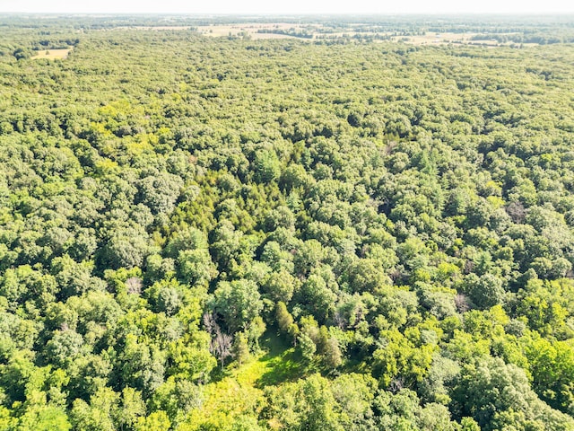 County Road 232, Fulton, MO 65251 - photo 35