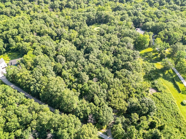County Road 232, Fulton, MO 65251 - photo 36