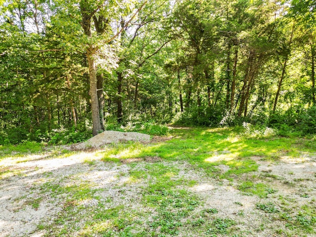 County Road 232, Fulton, MO 65251 - photo 19