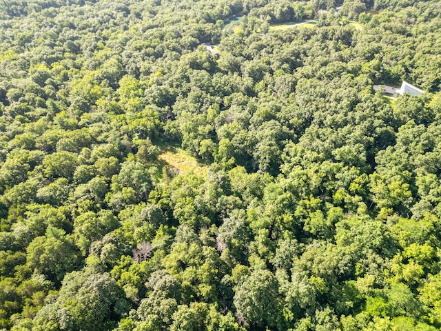 County Road 232, Fulton, MO 65251 - photo 38