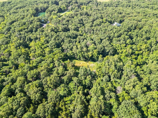 County Road 232, Fulton, MO 65251 - photo 39