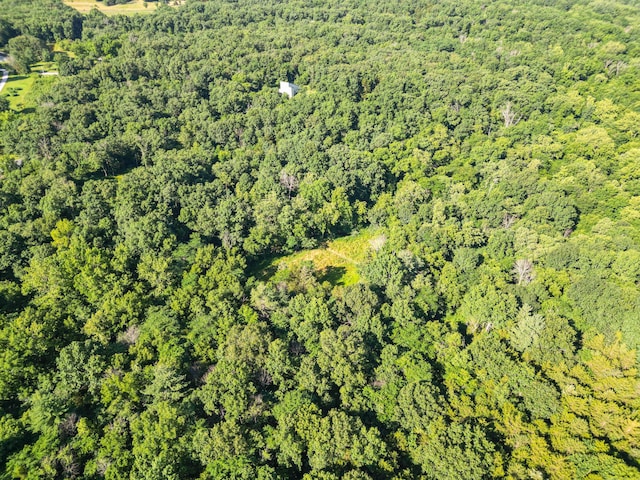 County Road 232, Fulton, MO 65251 - photo 40