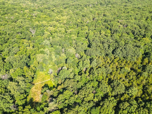 County Road 232, Fulton, MO 65251 - photo 41