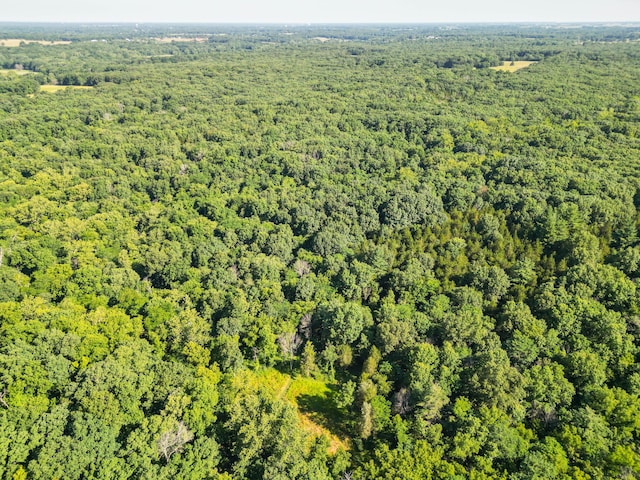 County Road 232, Fulton, MO 65251 - photo 42