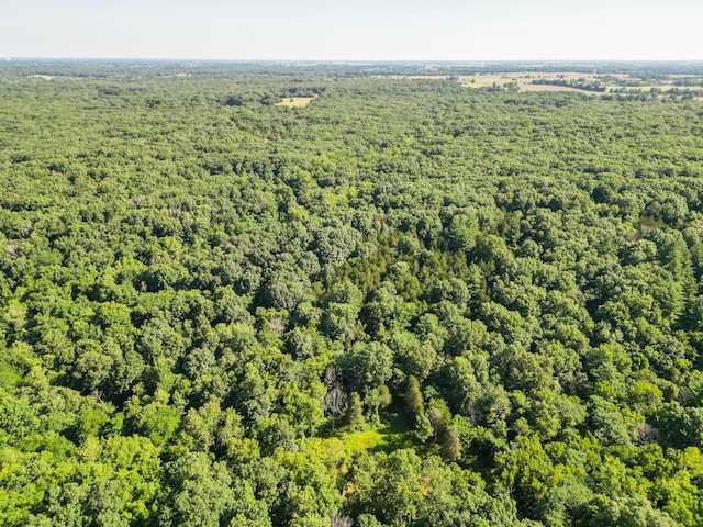 County Road 232, Fulton, MO 65251 - photo 43