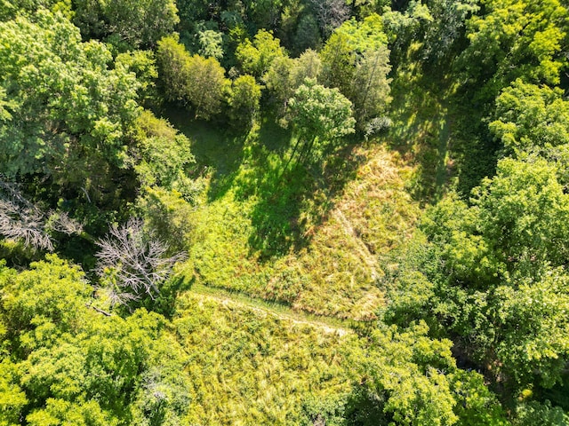 County Road 232, Fulton, MO 65251 - photo 8