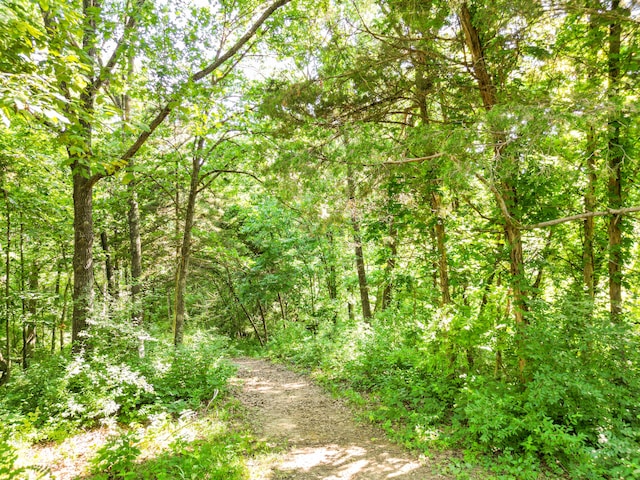 County Road 232, Fulton, MO 65251 - photo 12
