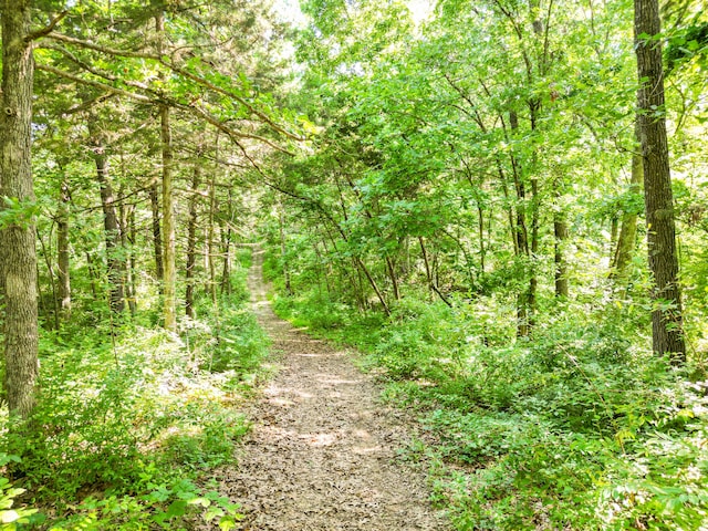 County Road 232, Fulton, MO 65251 - photo 13
