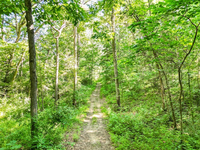 County Road 232, Fulton, MO 65251 - photo 14