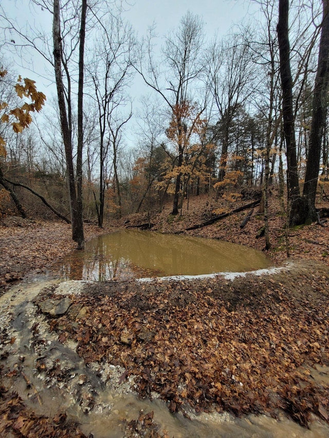 County Road 232, Fulton, MO 65251 - photo 21