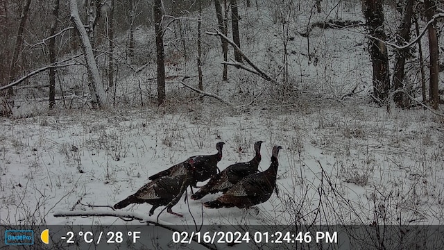 County Road 232, Fulton, MO 65251 - photo 25
