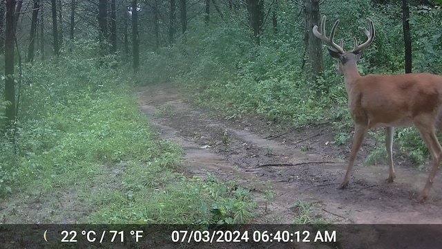 County Road 232, Fulton, MO 65251 - photo 24