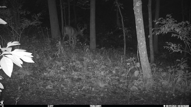 County Road 232, Fulton, MO 65251 - photo 30