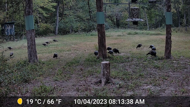 County Road 232, Fulton, MO 65251 - photo 29