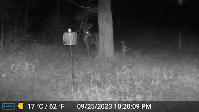 County Road 232, Fulton, MO 65251 - photo 31