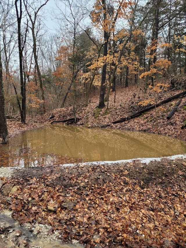 County Road 232, Fulton, MO 65251 - photo 20