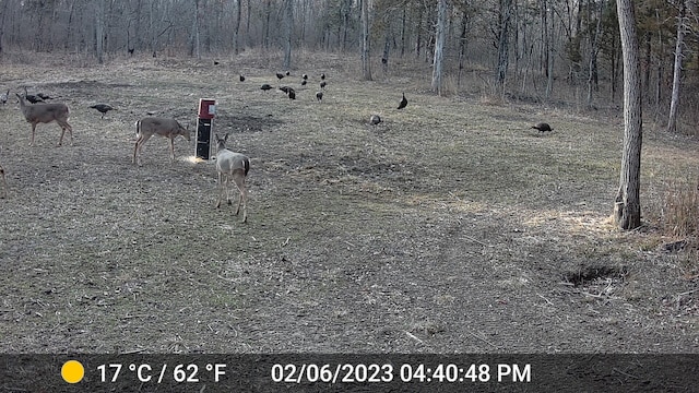 County Road 232, Fulton, MO 65251 - photo 23