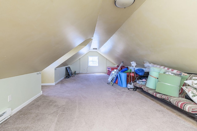 8900 W Graham Rd, Rocheport, MO 65279 - bonus room with a baseboard radiator, carpet flooring, and vaulted ceiling